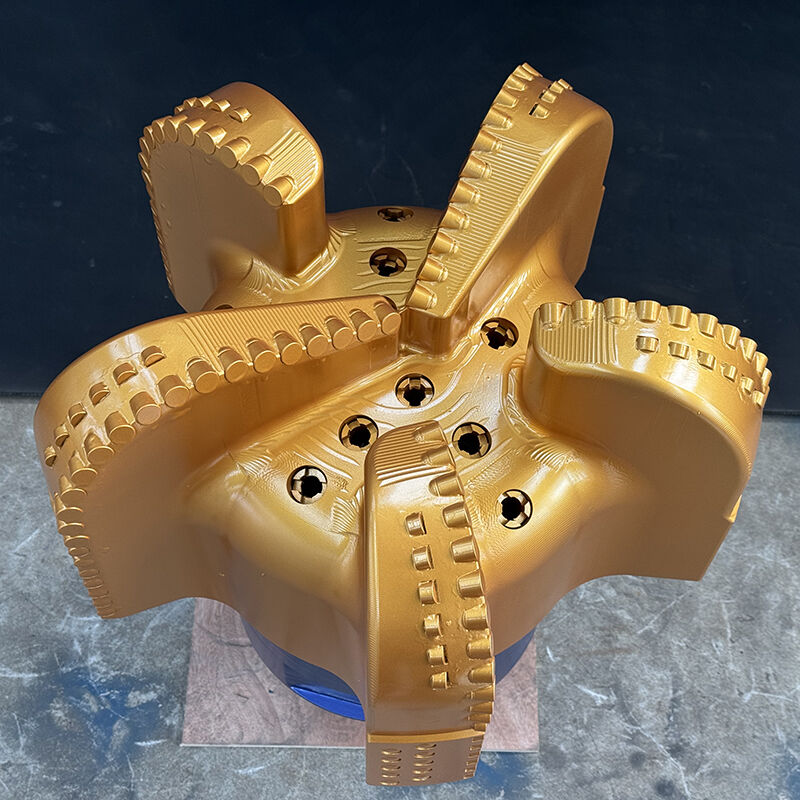 Punta di perforazione diamantata PDC a doppia fila con 5 lame per pozzi petroliferi e idrici in vendita