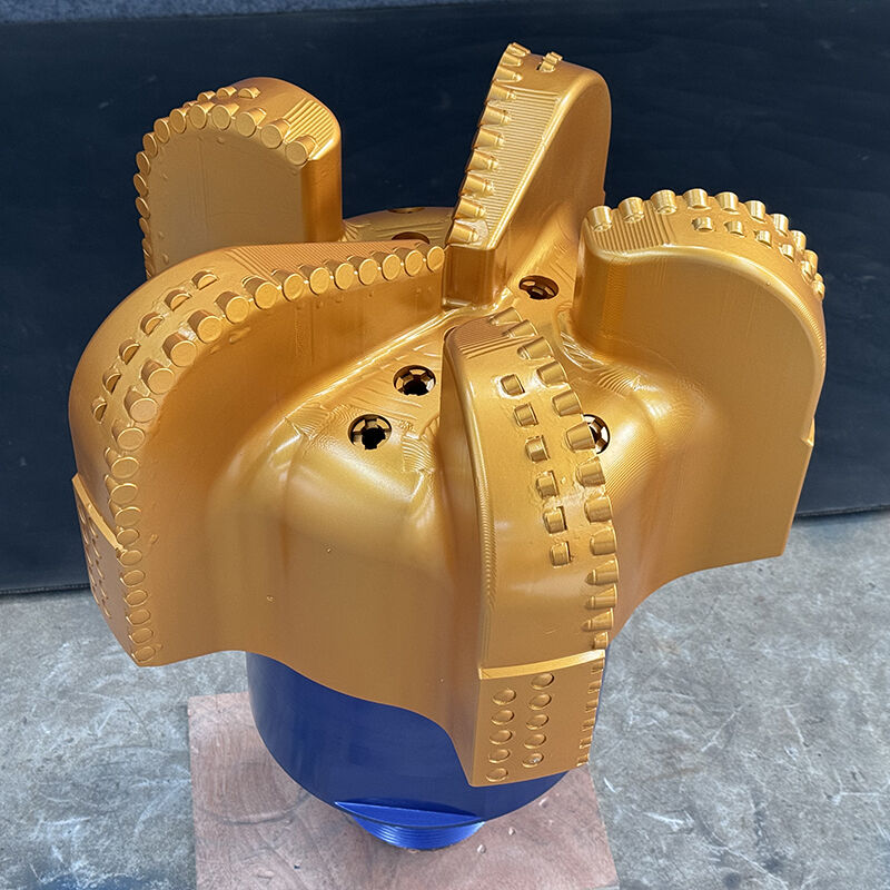 Punta di perforazione diamantata PDC a doppia fila con 5 lame per pozzi petroliferi e idrici in vendita